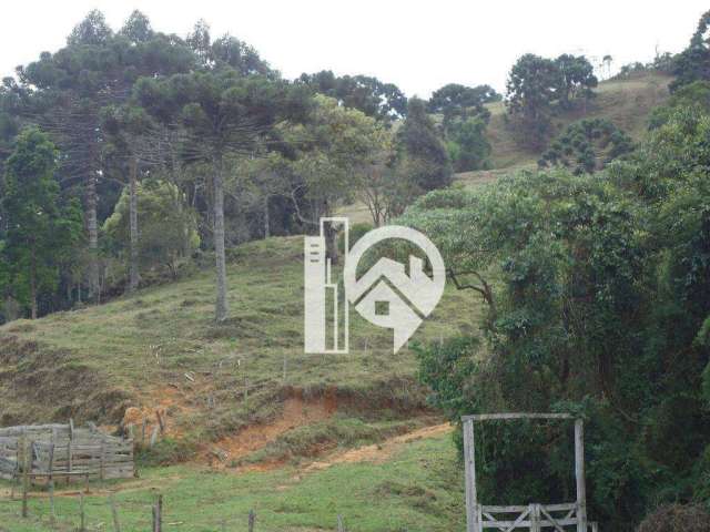 Área rural à venda, Centro, Gonçalves-MG.