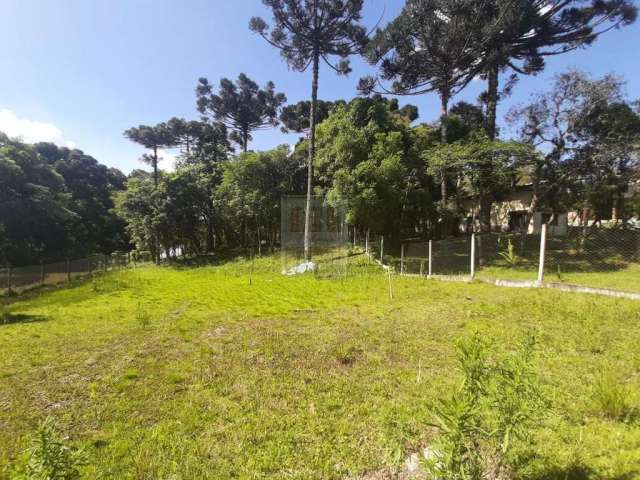 Terreno em Condomínio para Venda em São José dos Pinhais, Borda do Campo