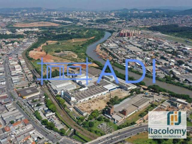 Galpão Industrial Logístico para Locação - 3300 m² - Rod. Castello Branco - Osasco - SP