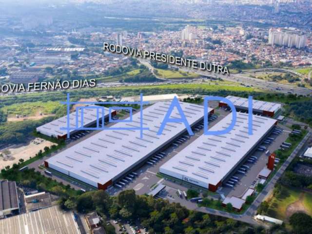 Galpão Industrial Logístico para Locação - 2519 m² - Rod. Dutra - São Paulo - SP