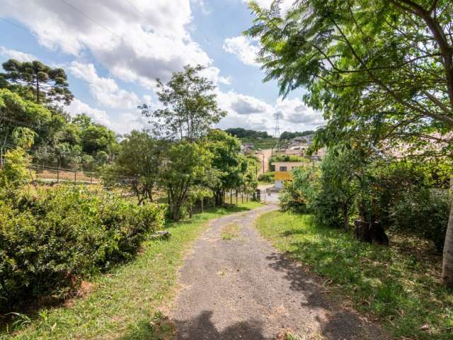 Terreno à venda, 5.000 m² na Colônia São Venâncio em Almirante Tamandaré/Paraná