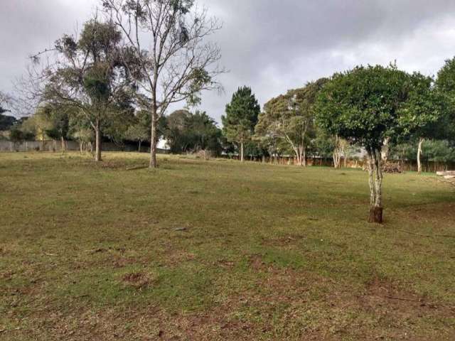 Terreno comercial à venda na Rua Elias Karam, 294, Borda do Campo, São José dos Pinhais por R$ 2.600.000