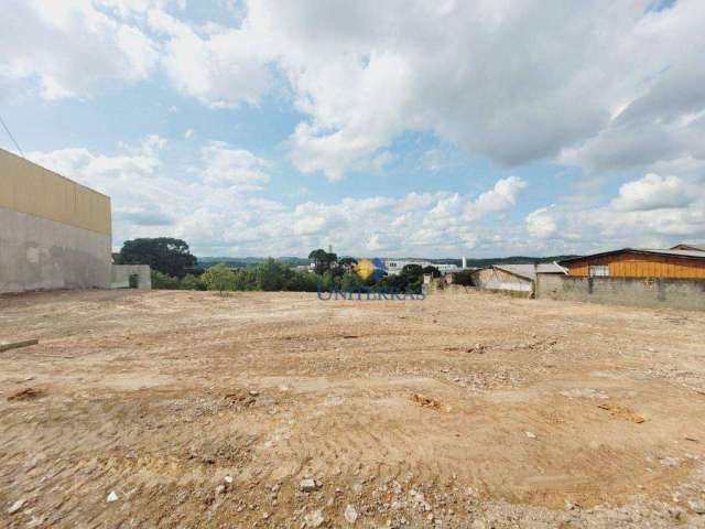 Terreno, 1050 m² - venda por R$ 950.000 ou aluguel por R$ 2.700/mês - Campina Do Arruda - Almirante Tamandaré/PR