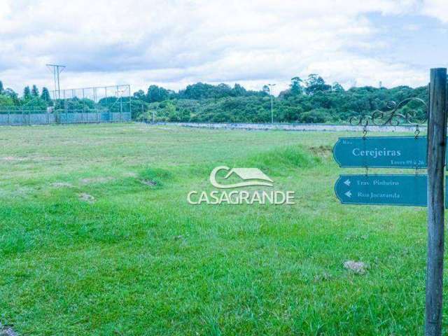 Terreno à venda, 3700 m² por R$ 900.000,00 - Campo Largo da Roseira - São José dos Pinhais/PR
