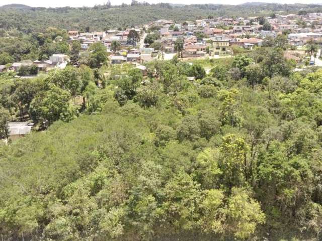 Terreno à venda, 12587.04 m2 por R$1020000.00  - Arruda - Colombo/PR