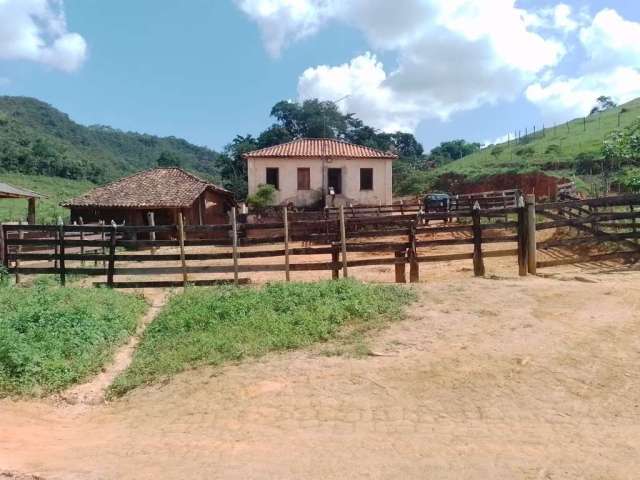 Chácara / sítio à venda na Sitio Venda Nova, 1, Pinheiro Altos, Piranga por R$ 600.000