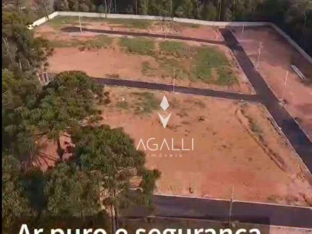 Terreno à venda, 194 m² por R$ 238.000,00 - Gralha Azul - Fazenda Rio Grande/PR