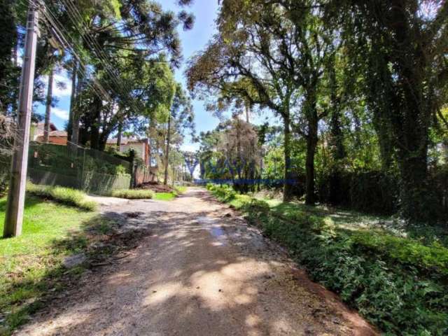 Terreno comercial à venda na Rua Presidente Eurico Gaspar Dutra, Canguiri, Colombo por R$ 170.000