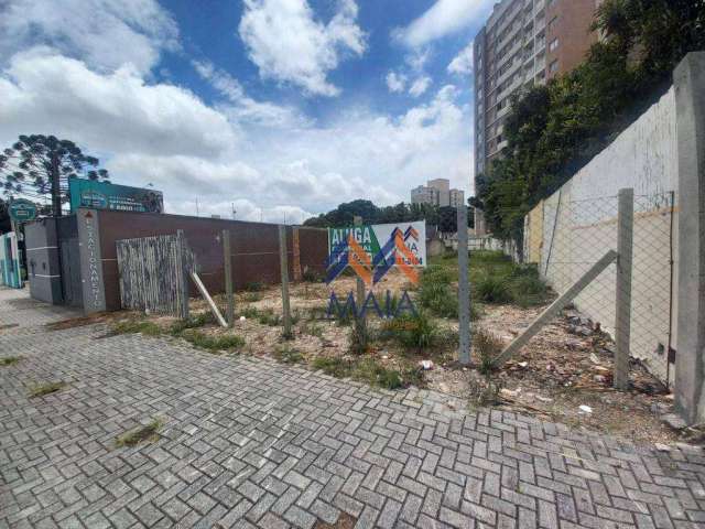 Terreno para alugar, 540 m² por R$ 3.500,00/mês - Centro - São José dos Pinhais/PR