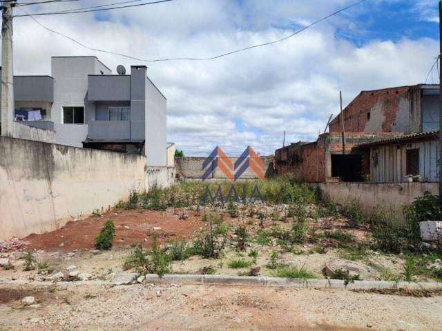 Terreno à venda, 256 m² por R$ 199.000,00 - Afonso Pena - São José dos Pinhais/PR