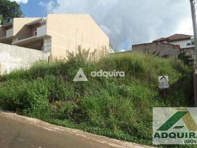 Terreno à venda 427M², Estrela, Ponta Grossa - PR