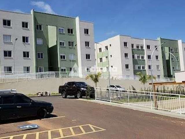 Ótimo apartamento, novo, semimobiliado para venda e locação, Estrela, Ponta Grossa, PR