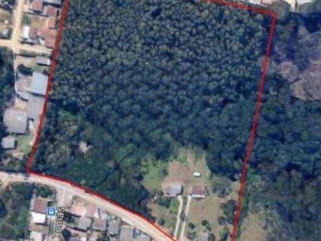 Área à venda, 38360 m² por R$ 7.500.000,00 - Vila Tanguá - Almirante Tamandaré/PR