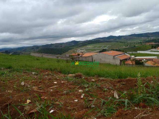 Terreno à venda, 5000 m² por R$ 2.500.000,00 - Monte Belo - Taubaté/SP
