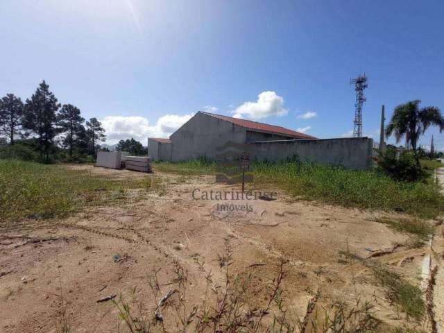 Terreno à venda, 387 m² por R$ 320.000,00 - Praia Do Sonho (Ens Brito) - Palhoça/SC