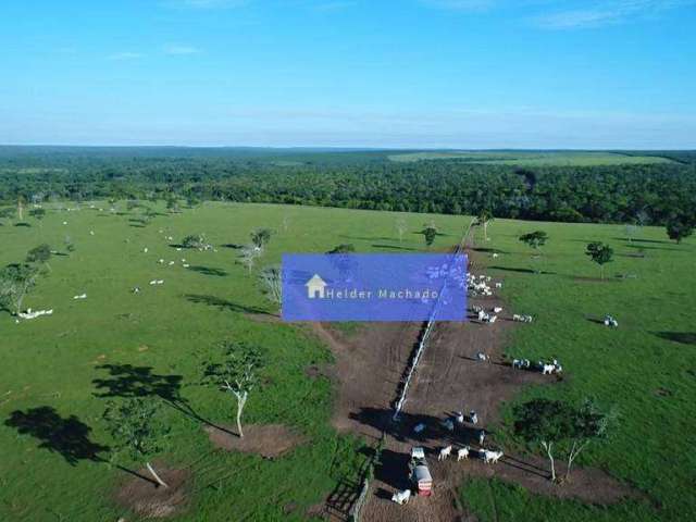 Fazenda em paranatinga mt 6280 hectares pronta