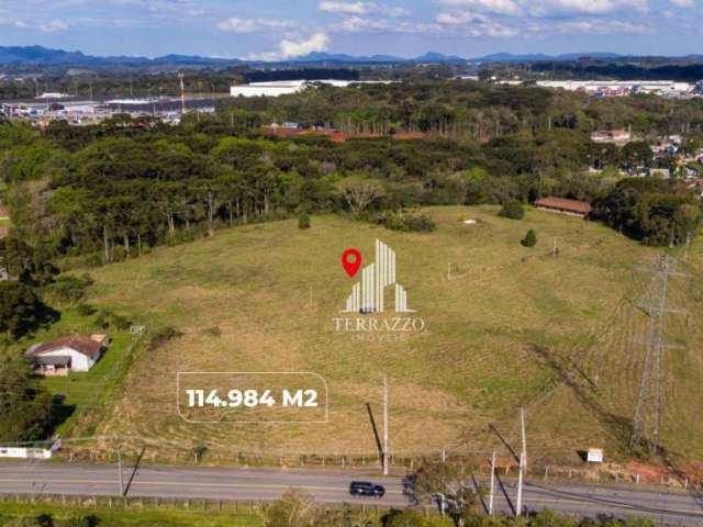 Área à venda, 114984 m² por R$ 6.500.000,00 - Roseira - São José dos Pinhais/PR