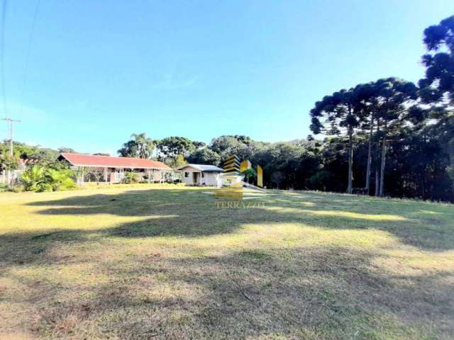 Terreno à venda, 7301 m² por R$ 680.000,00 - Borda Do Campo - São José dos Pinhais/PR