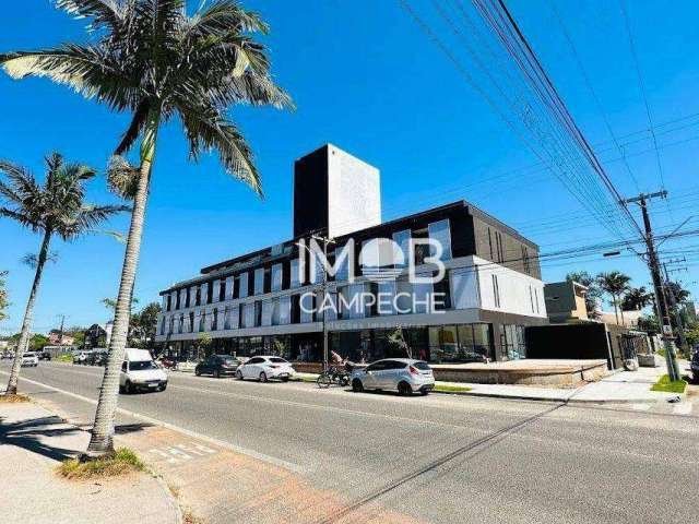 Apartamento Loft no Novo Campeche à 300mts da Praia - Campeche, Florianópolis SC