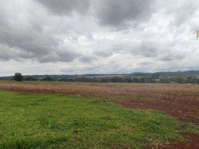 Terreno à venda, 253 m² por R$ 63.000,00 - Aurora do Iguaçu  - São Miguel do Iguaçu/PR
