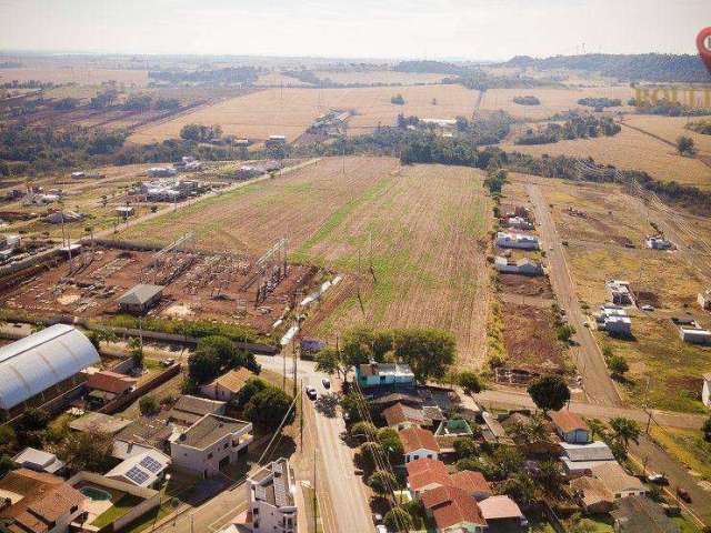 Terreno à venda, 6000 m² por R$ 2.500.000,00 - Coração de Jesus - São Miguel do Iguaçu/PR