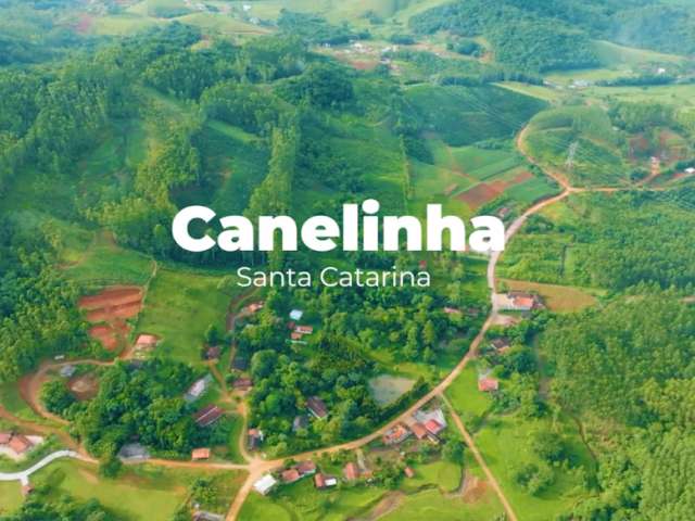 Sitio com 13,5 hectares com produção de plantas medicinais em Canelinha SC