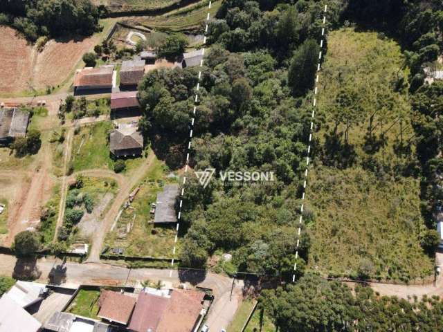 Terreno à venda, 12436 m² por R$ 813.000,00 - Ferraria - Campo Largo/PR