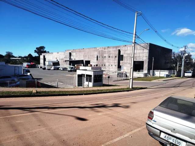 Barracão / Galpão / Depósito para alugar na Rua Desembargador Cid Campelo, 6598, Cidade Industrial, Curitiba, 527 m2 por R$ 9.000