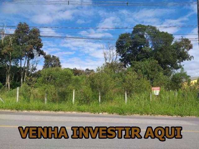 Terreno 10.450 m² -  São José dos Pinhais