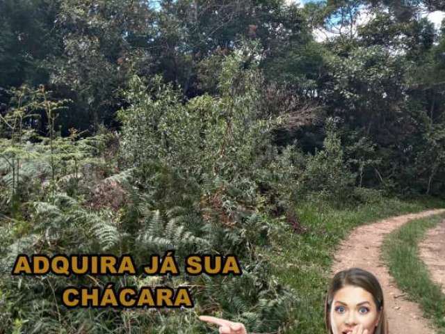 Chácara 38.990 m² - Bocaiuva do Sul