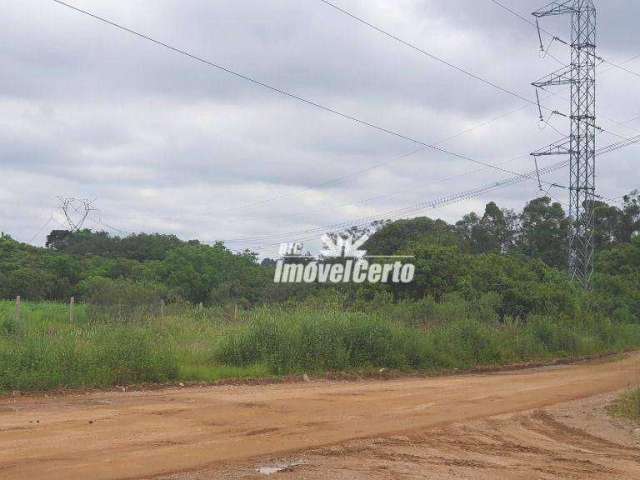 Terreno industrial à venda, 128000 m² por R$ 12.000.000 - Thomaz Coelho - Araucária/PR