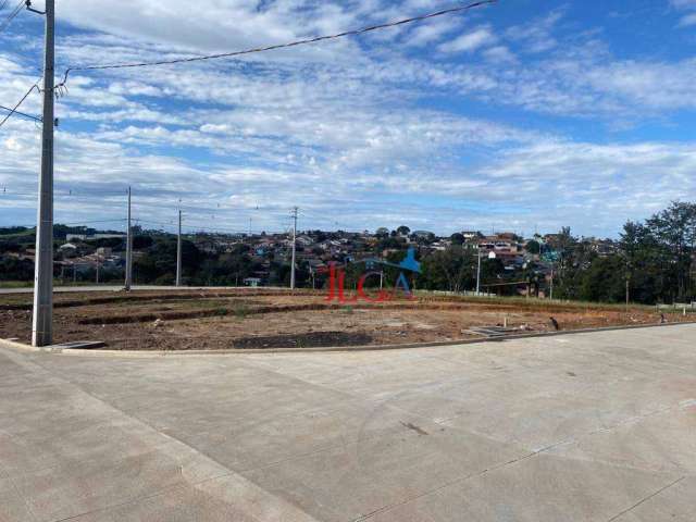 Terreno à venda, 181 m² por R$ 241.800,00 - Vila Rivabem - Campo Largo/PR