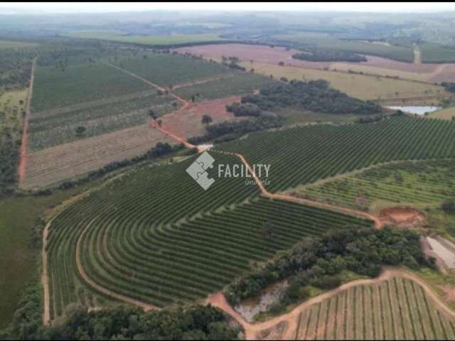 Fazenda com 1 sala à venda na Área Rural de Itapetininga, Itapetininga , 170 m2 por R$ 42.500.000