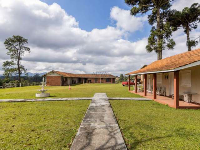 Fazenda com 6 salas à venda na Rua Basílio Lecheta, Planta Laranjeiras, Piraquara, 219615 m2 por R$ 15.000.000