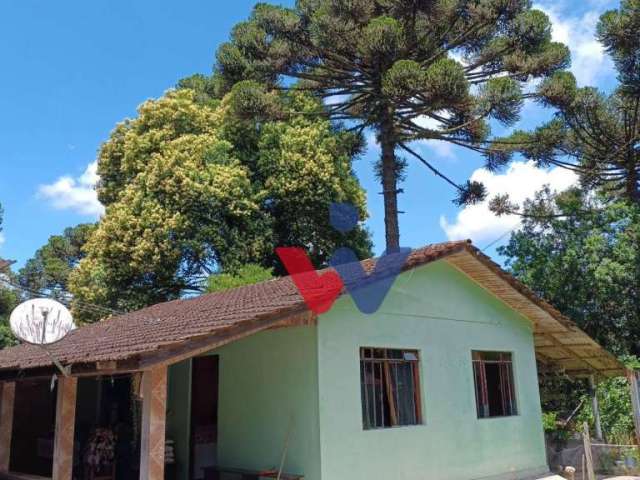 Chácara com 3 dormitórios à venda, 2000 m² por R$ 365.000,00 - Área Rural de São José dos Pinhais - São José dos Pinhais/PR