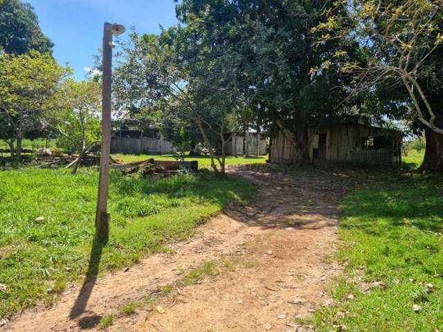 Fazenda à venda na Fazenda, 1, Zona Rural, Vila Rica, 871 m2 por R$ 32.100.000