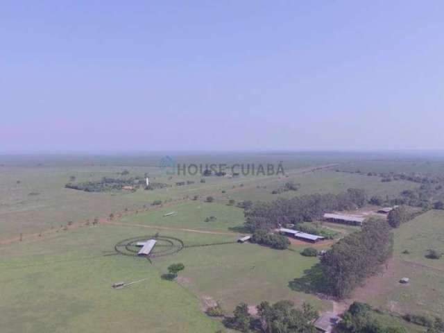 Fazenda com 4 salas à venda na Fazenda Sapezal, 1, Zona Rural, Sapezal por R$ 950.000.000
