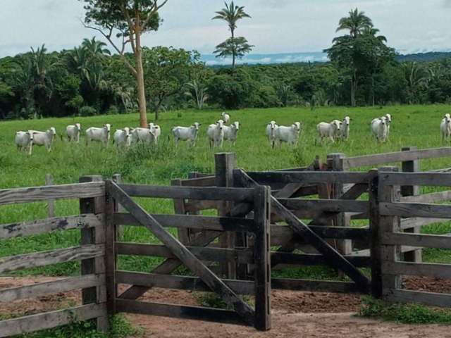 Fazenda à venda na Fazenda OLHO D'ÁGUA, 1, Zona Rural, Santo Antônio do Leverger por R$ 4.000.000