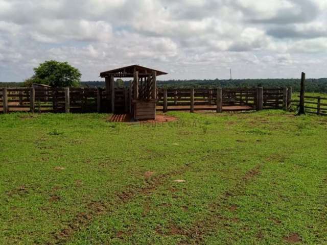 Fazenda em Brasnorte - Mato Grosso