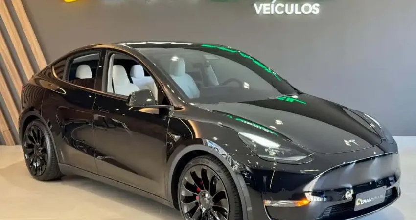 TESLA MODEL Y LONG R P