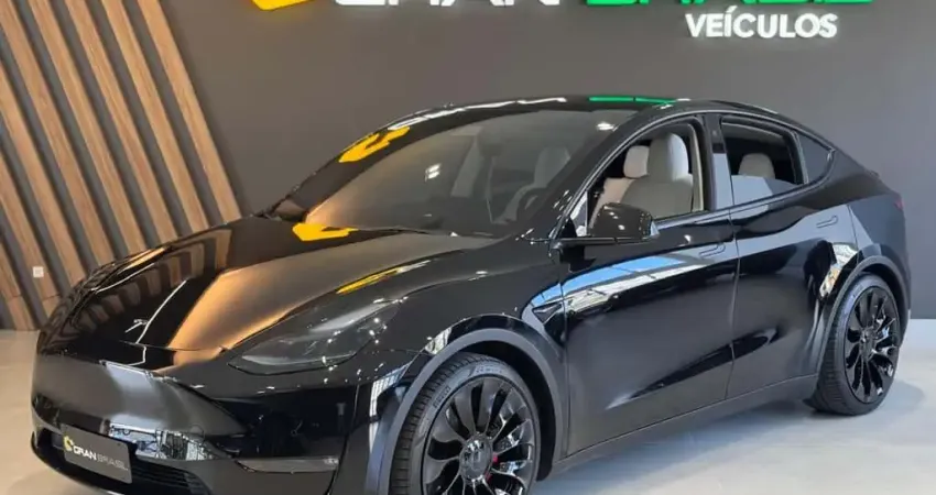 TESLA MODEL Y LONG RANGE DUAL MOTOR ALL-WHEEL 384CV 2021