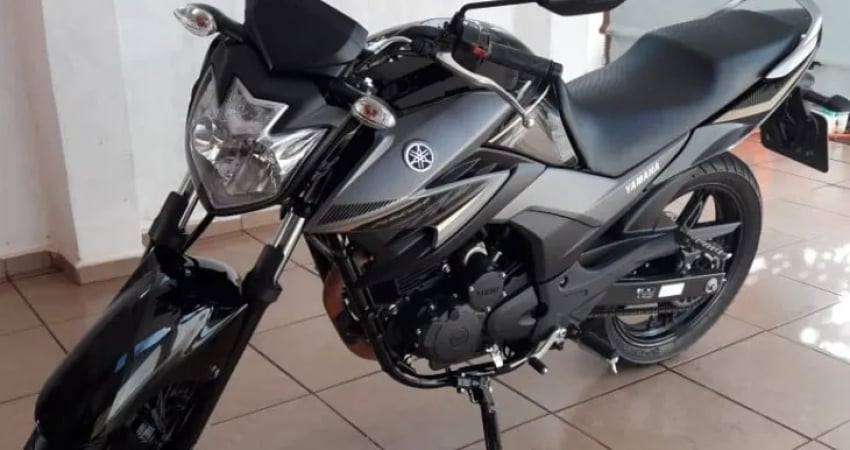 YAMAHA   YS 250 FAZER BLUEFLEX  Street