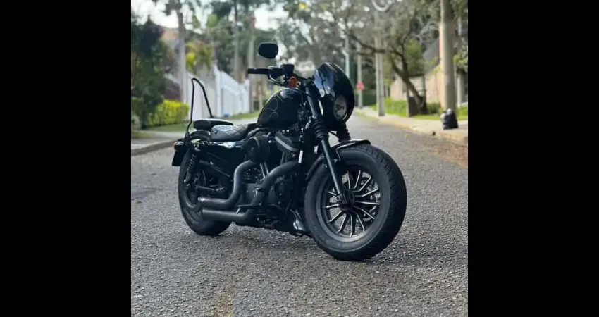 HARLEY-DAVIDSON XL883N 2013