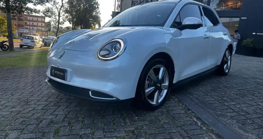 GREAT WALL GWM ORA 03 SKIN BEV48 2024