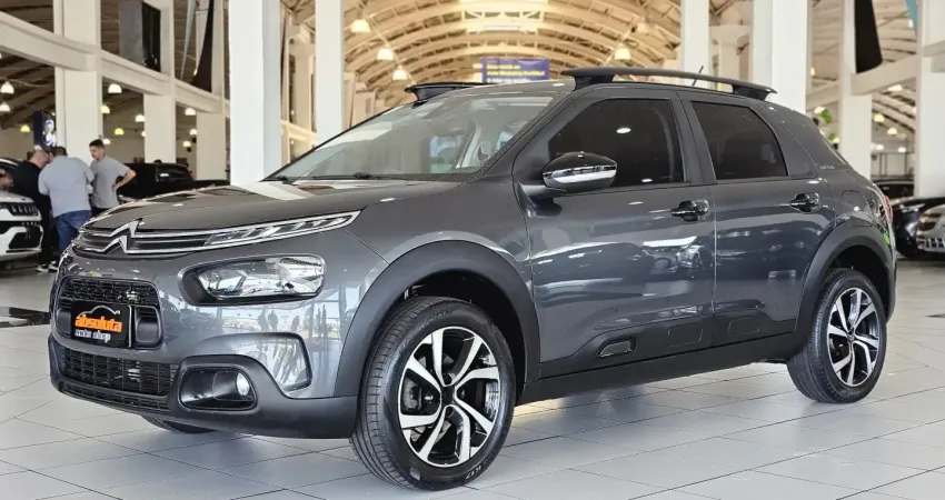 C4 cactus 1.6 