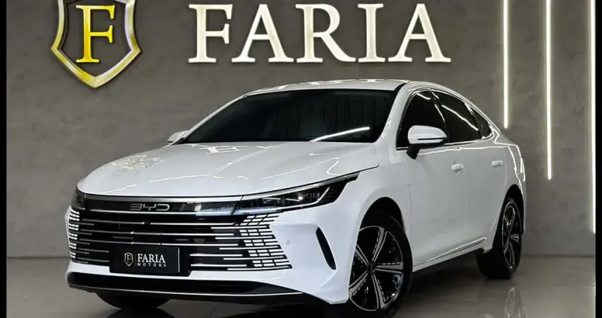 BYD KING GS 1.5 16V Aut. (Hibrido)