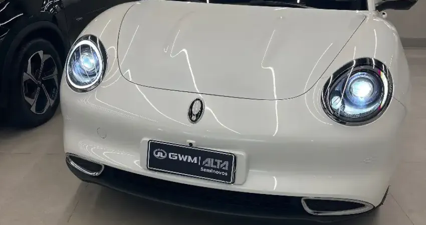 GWM ORA SKIN 03 2024
