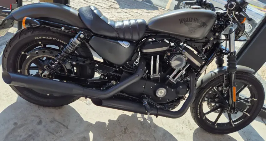 haeleyCom 13 mil de km.estado de zero uma moto classica .vento na cara