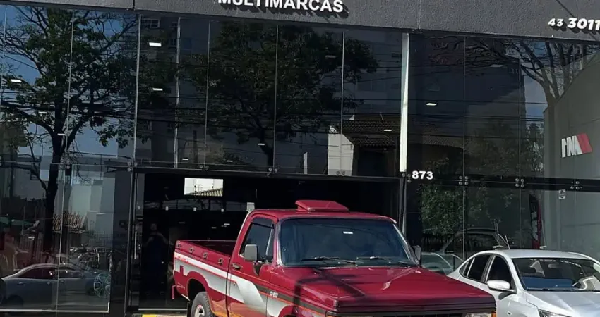  Chevrolet D-20 Deluxe 1995 Caminhonete original C20 regulamentada ao motor a Diesel 