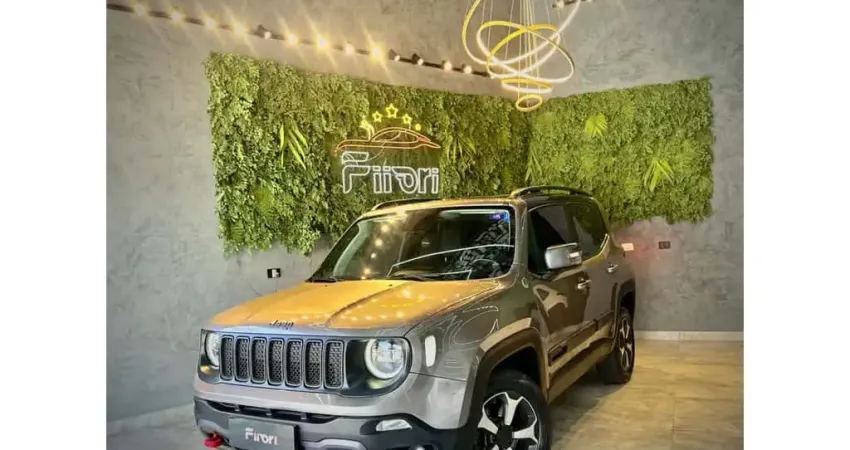 Jeep Renegade 2019 2.0 16v turbo diesel trailhawk 4p 4x4 automático